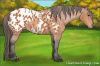 Horse Color:Bay Splash Tobiano Blanket  Brindle