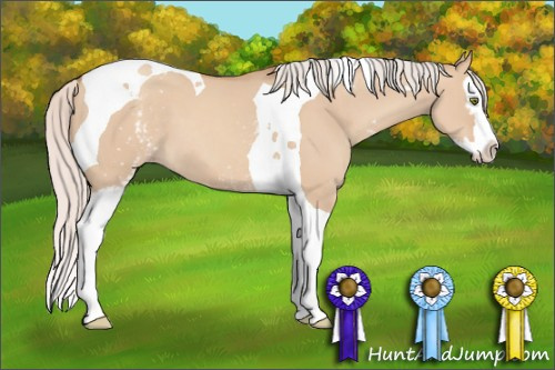 Horse Color: White Spotted Silver Classic Champagne Dun Splash Tobiano 