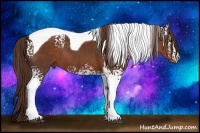 Horse Color:White Spotted Liver Chestnut Tobiano 