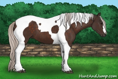 Horse Color: Silver Bay Tobiano 