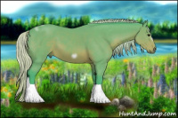 Horse Color:Watercolor Silver Brown Tobiano Frame 