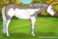 Horse Color:Silver Smoky Grullo Splash Frame