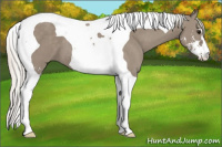 Horse Color:Silver Smoky Grullo Sabino Tobiano 