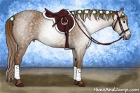Horse Color:Gray Chestnut 