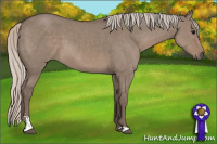 Horse Color:Silver Brown Dun Sabino 