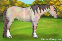 Horse Color:Nacre Classic Champagne Roan Dun 