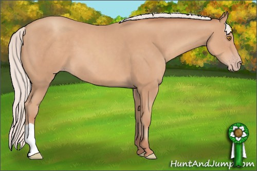 Horse Color: Silver Classic Champagne 