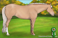 Horse Color:Silver Classic Champagne