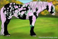 Horse Color:Watercolor Chocolate Palomino Sabino Splash Appaloosa