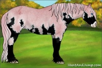 Horse Color:Watercolor Chocolate Palomino Splash Appaloosa Rabicano 