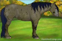 Horse Color:ERROR: UNKNOWN ANOMALY