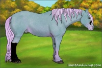 Horse Color:Watercolor Chocolate Palomino Appaloosa Rabicano 