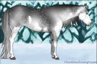 Horse Color:Gray Black Splash