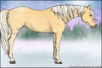 Horse Color:Palomino 