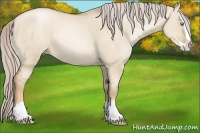 Horse Color:Chocolate Palomino Pearl Dun Splash 