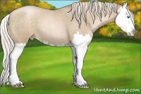 Horse Color:Chocolate Palomino Roan Pearl Splash 