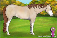 Horse Color:Liver Red Dun Sabino 