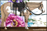 Horse Color:Liver Red Dun Ice Frame