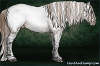 Horse Color:Buckskin Roan Snowcap 