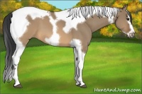 Horse Color:Brown Dun Splash Tobiano Frame 