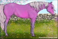Horse Color:Watercolor Silver Bay