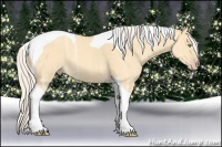 Horse Color:Silver Amber Cream Champagne Ice Dun Tobiano 