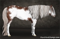 Horse Color:White Spotted Silver Bay Frame 