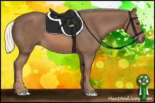 Horse Color: Liver Chestnut Mushroom 