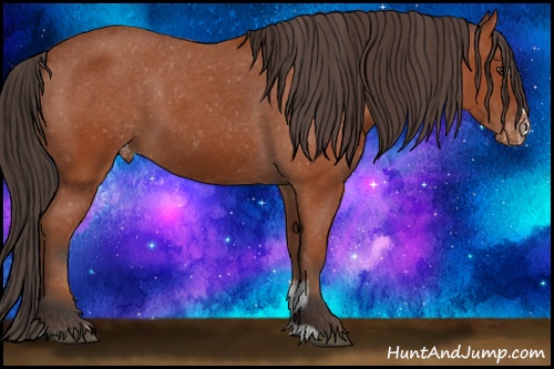 Horse Color: Bay Sabino Varnish 