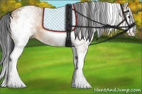 Horse Color:White Spotted Bay Dun Splash 