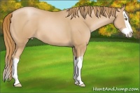 Horse Color:Chestnut Pearl Splash 