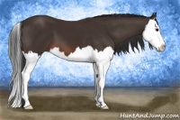 Horse Color:Brown Splash 