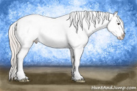Horse Color:Silver Brown Appaloosa