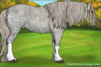 Horse Color:Silver Blue Ice Roan 