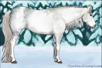 Horse Color:Gray White Spotted Silver Black Ice 