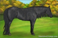 Horse Color:Black  Brindle