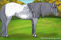 Horse Color:Watercolor Blue Roan Frame Snowcap Rabicano 