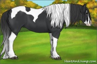 Horse Color:Black Splash Tobiano 