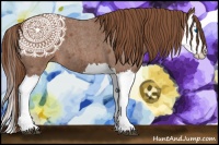 Horse Color:Red Roan Splash 