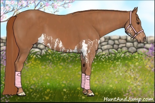 Horse Color:Chestnut Splash  Brindle
