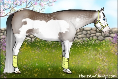 Horse Color:Gray Classic Champagne Splash Frame 