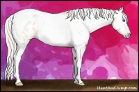Horse Color:Gray Silver Amber Cream Champagne Roan Dun Splash Tobiano Frame Appaloosa Rabicano 