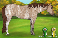 Horse Color:Gray Red Dun Ice 