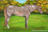 Horse Color:Red Ice Roan Rabicano