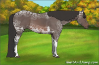 Horse Color:Brown Ice Tobiano