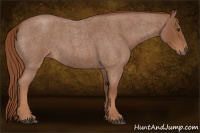 Horse Color:Red Roan 