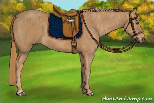 Horse Color: Chestnut  Brindle
