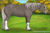 Horse Color:Silver Black 