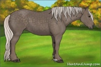 Horse Color:Silver Black 
