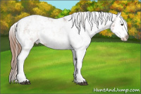 Horse Color:Liver Chestnut Sabino Splash 